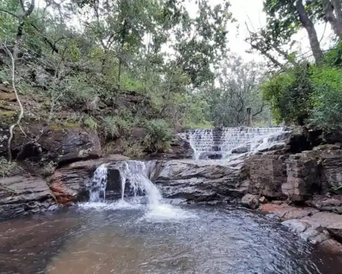 Indore to Pachmarhi